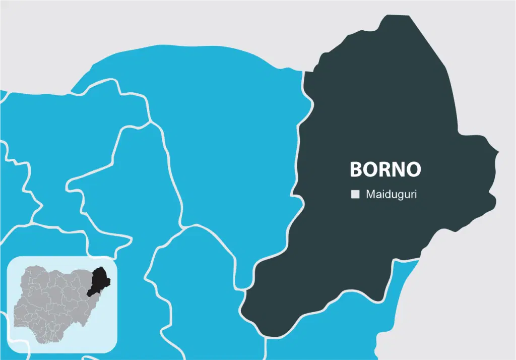 Borno Government Settles NECO Fees for Over 27,000 Students